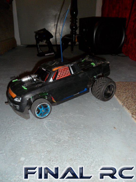 Glatti mit Stampede-Karo